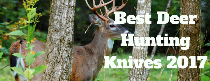 best deer hunting knife